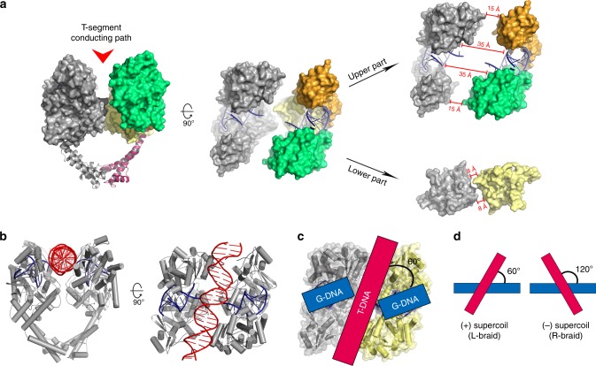 Fig. 4