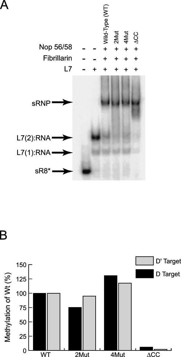 FIGURE 4.