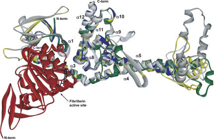 FIGURE 7.