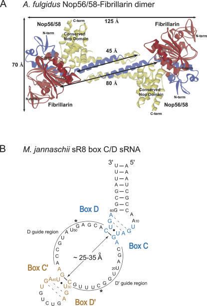 FIGURE 1.