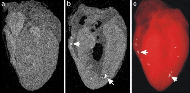 Fig. 3