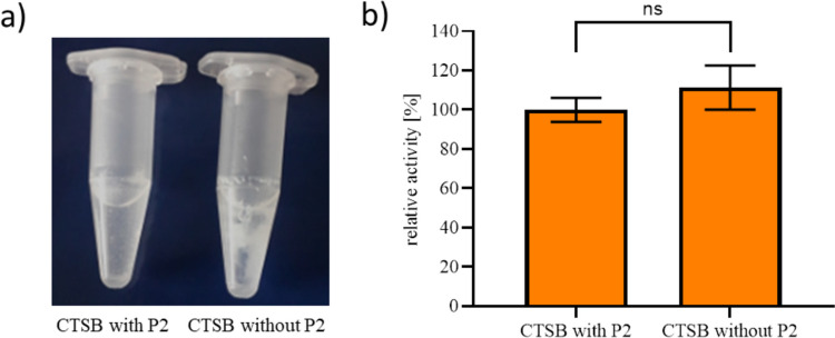 Fig. 4