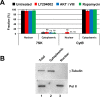 FIGURE 5: