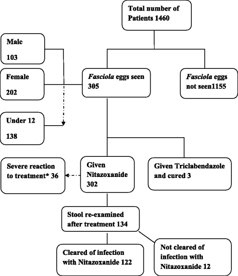 Flow Chart