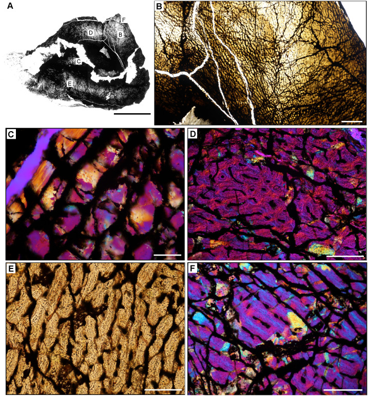 Fig 15