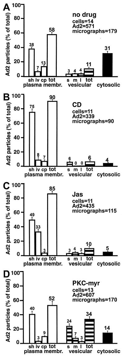 FIG. 6