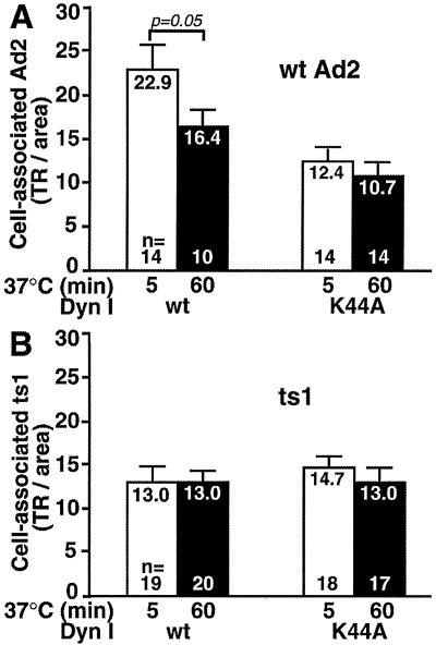 FIG. 7