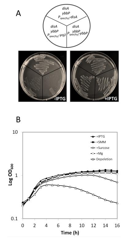 Fig.7