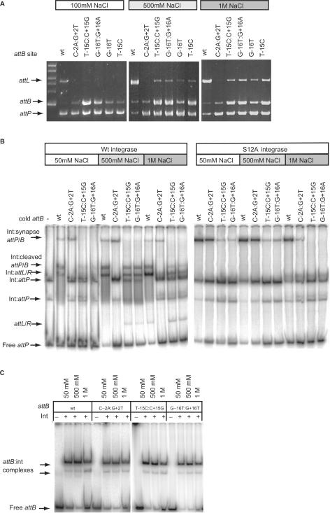 Figure 6.