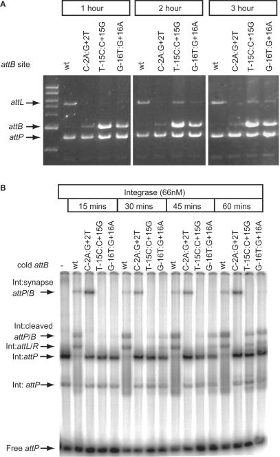 Figure 5.