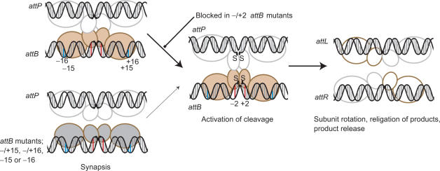 Figure 7.