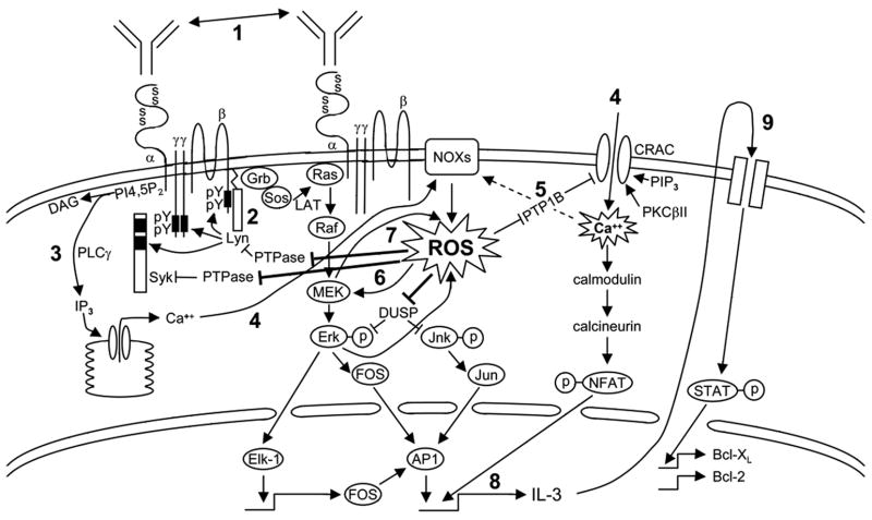 Fig 7