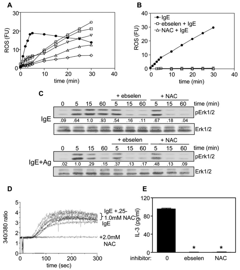 Fig 5