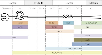 Fig. 8.