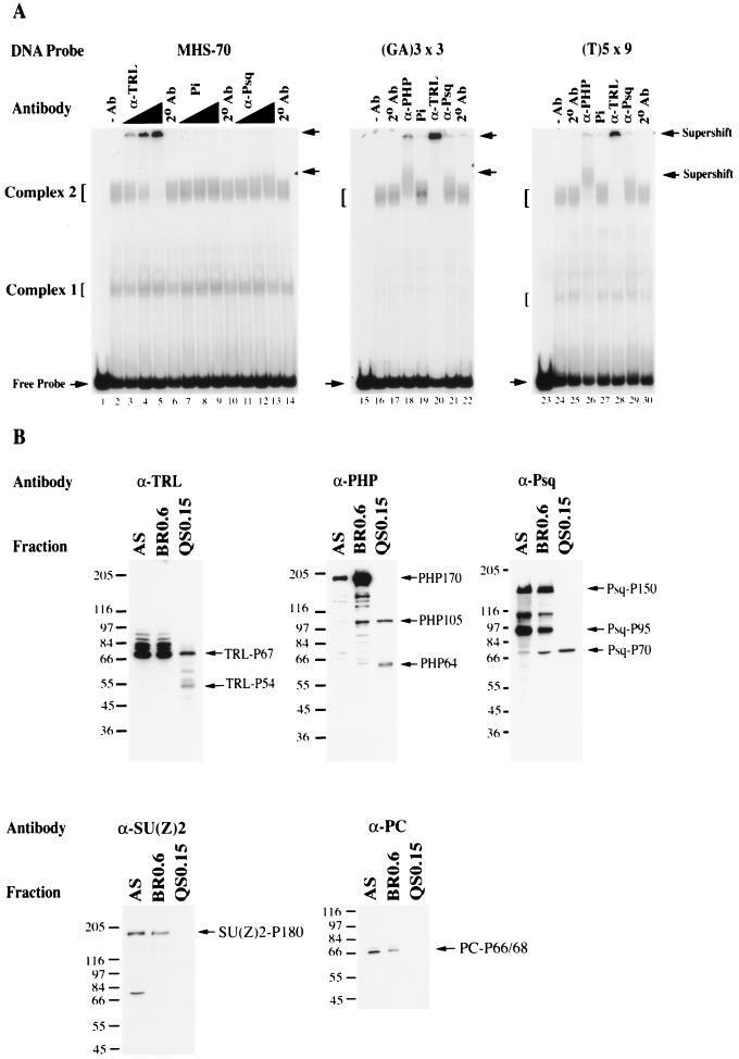 FIG. 7