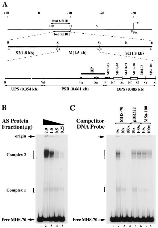 FIG. 1