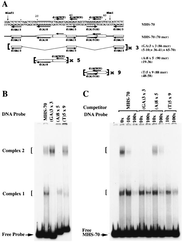 FIG. 6