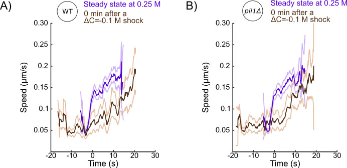 Figure 7—figure supplement 7.