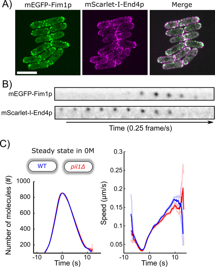 Figure 6—figure supplement 1.