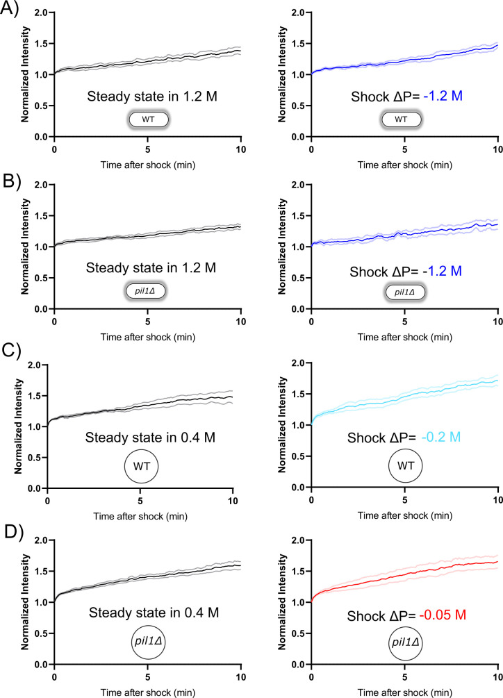 Figure 4—figure supplement 1.