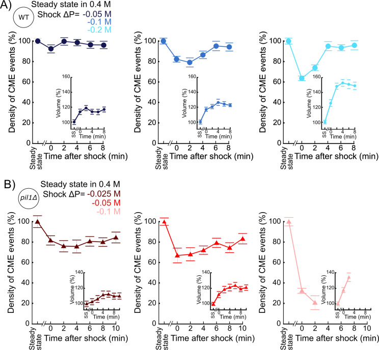 Figure 3—figure supplement 1.