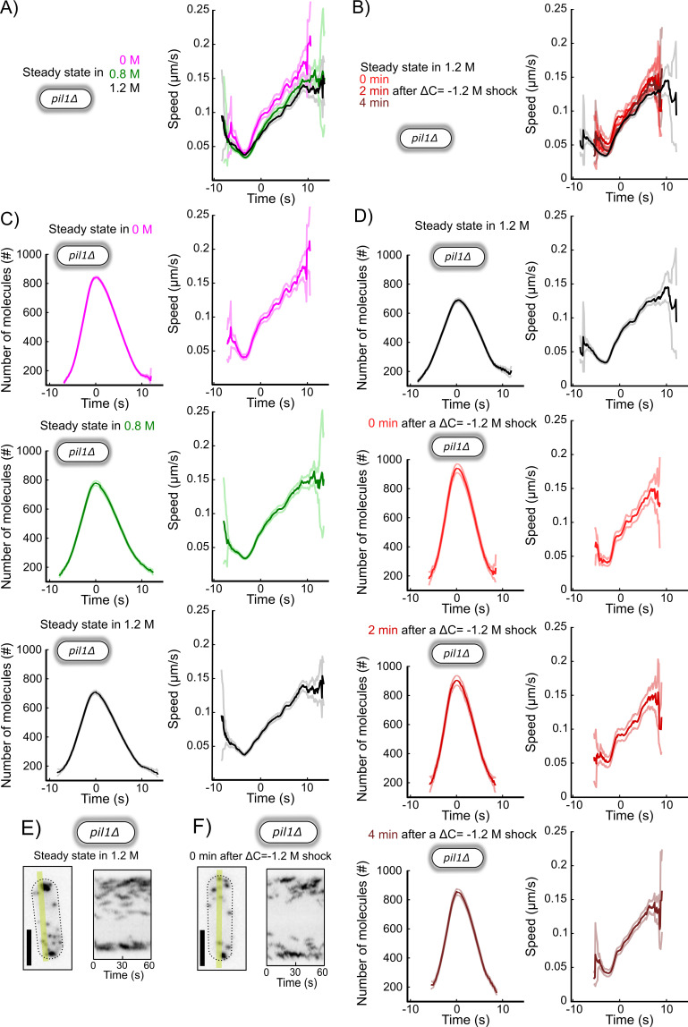 Figure 6—figure supplement 4.