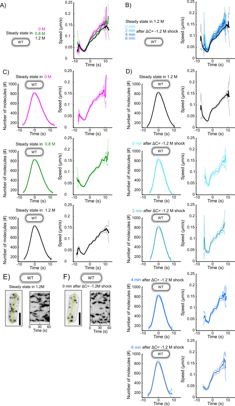 Figure 6—figure supplement 3.