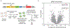 Extended Data Fig. 4.