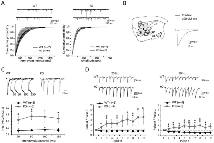 Fig 7