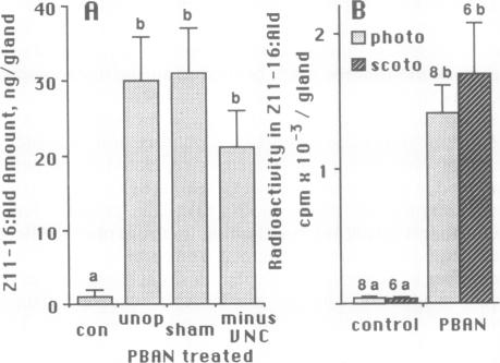 graphic file with name pnas01069-0351-a.jpg