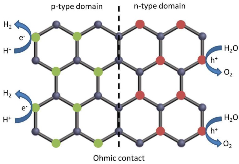 Scheme 8