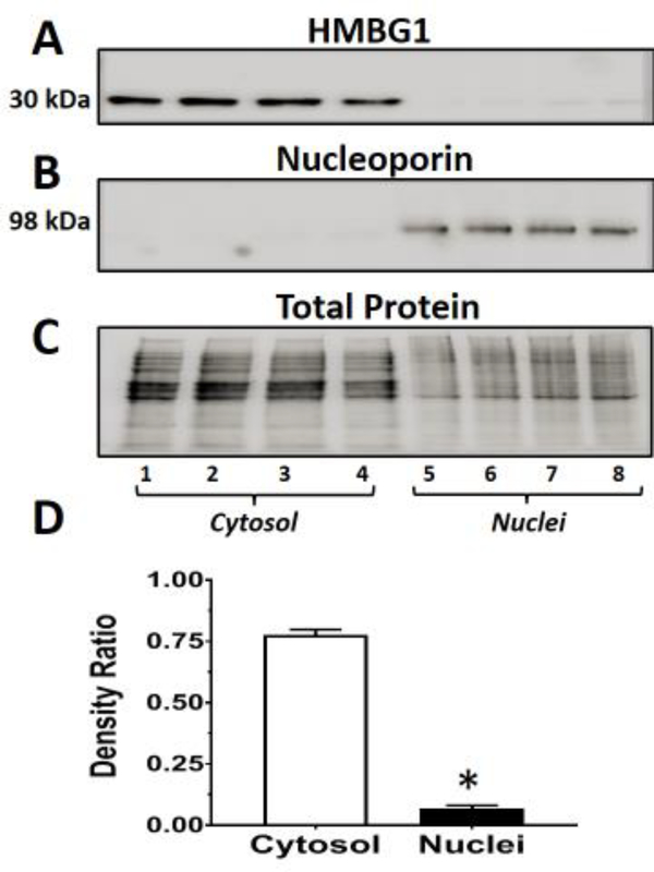 Figure 6: