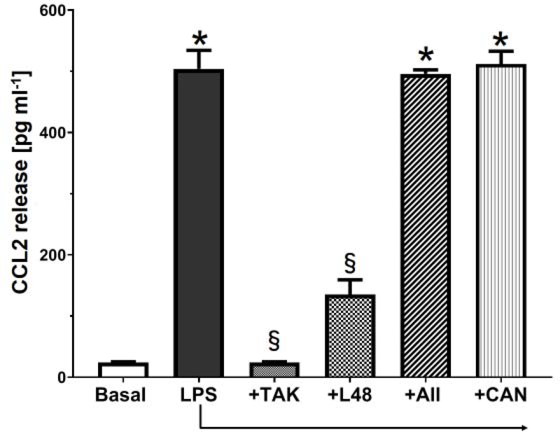 Figure 2: