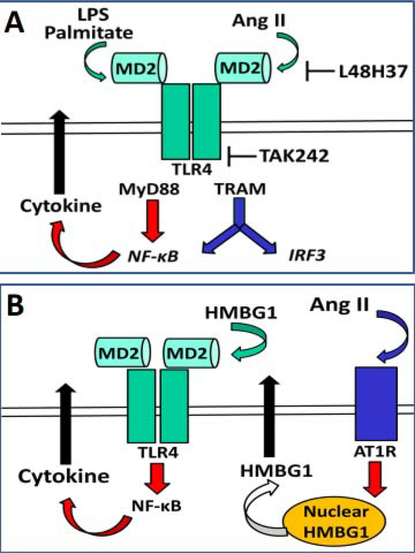 Figure 1: