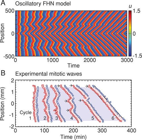 FIGURE 5: