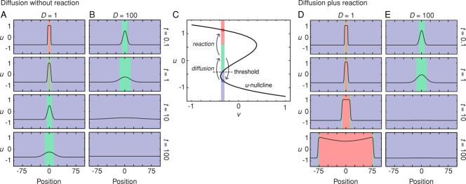 FIGURE 4: