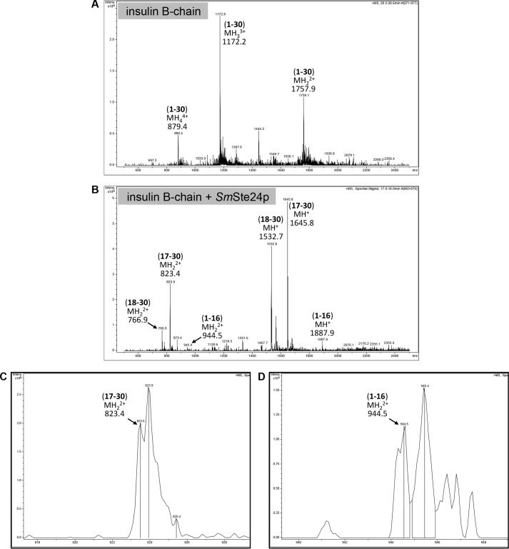 FIGURE 11.