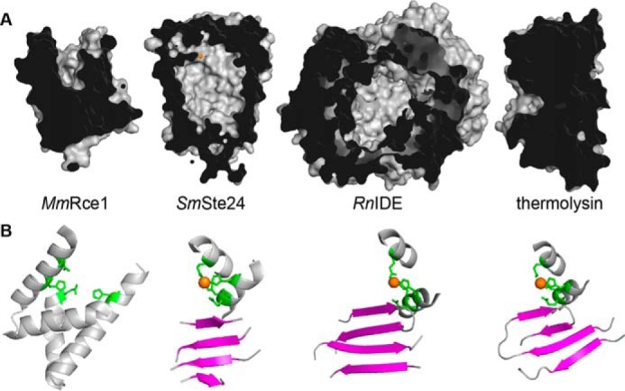 FIGURE 1.