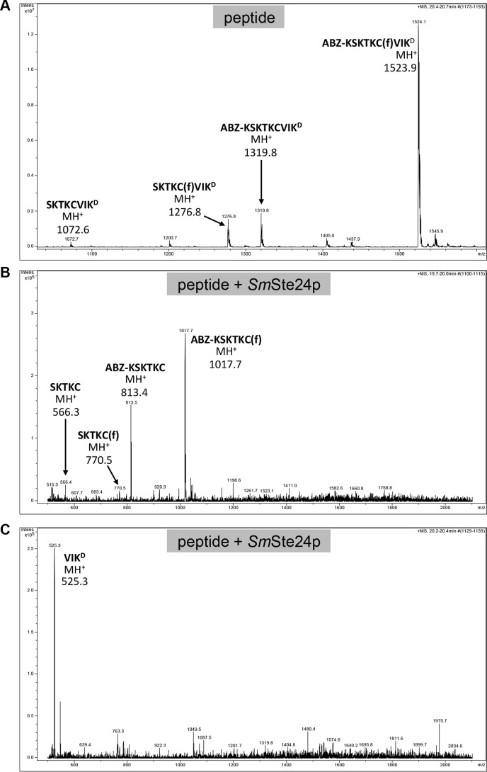 FIGURE 10.