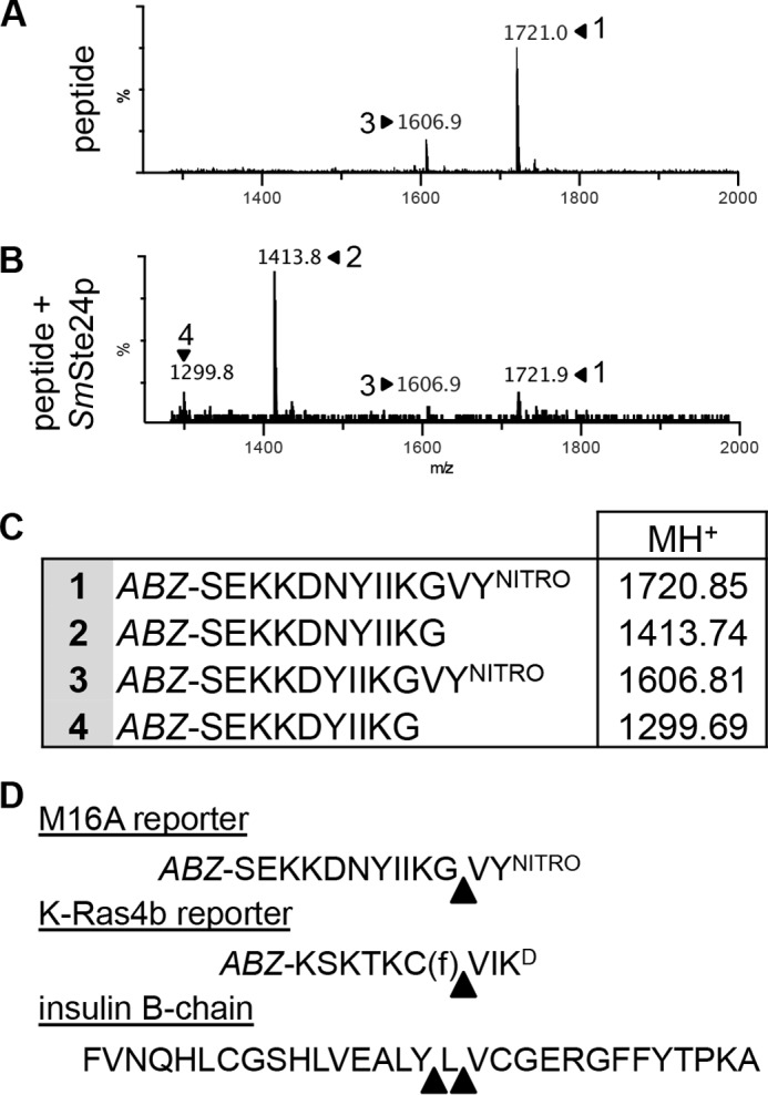 FIGURE 9.