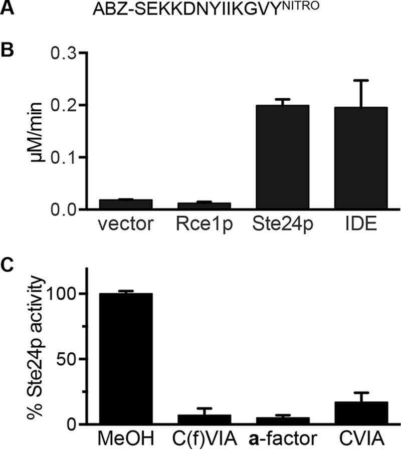 FIGURE 4.