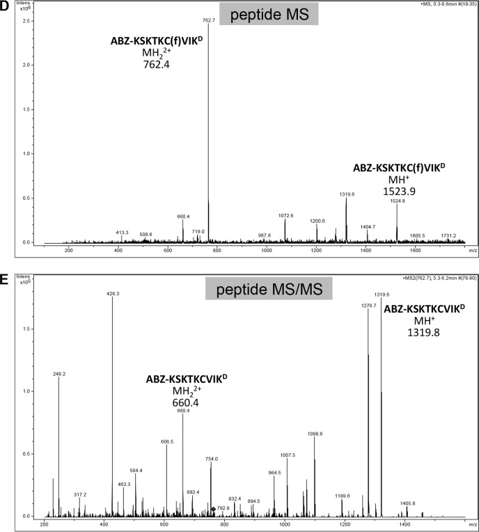 FIGURE 10.