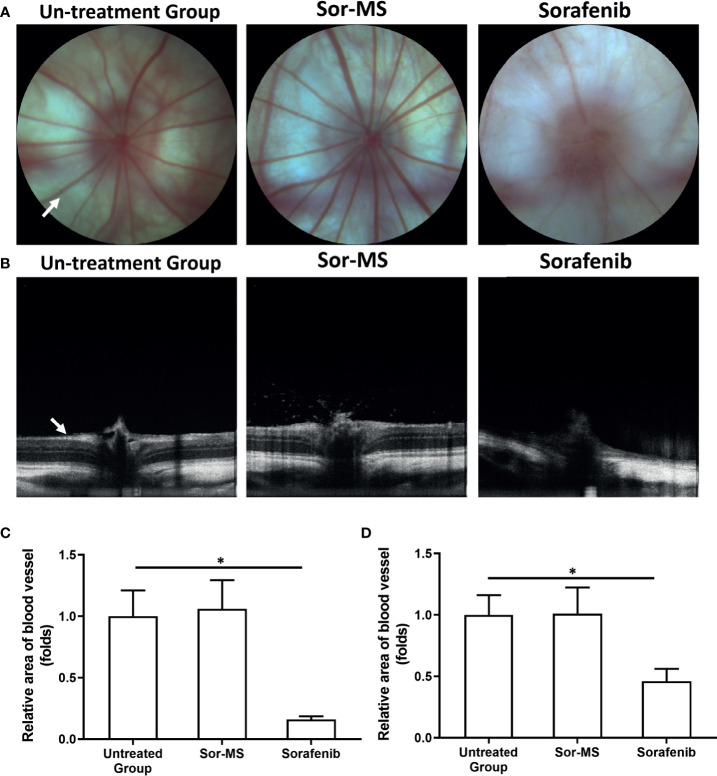 Figure 4