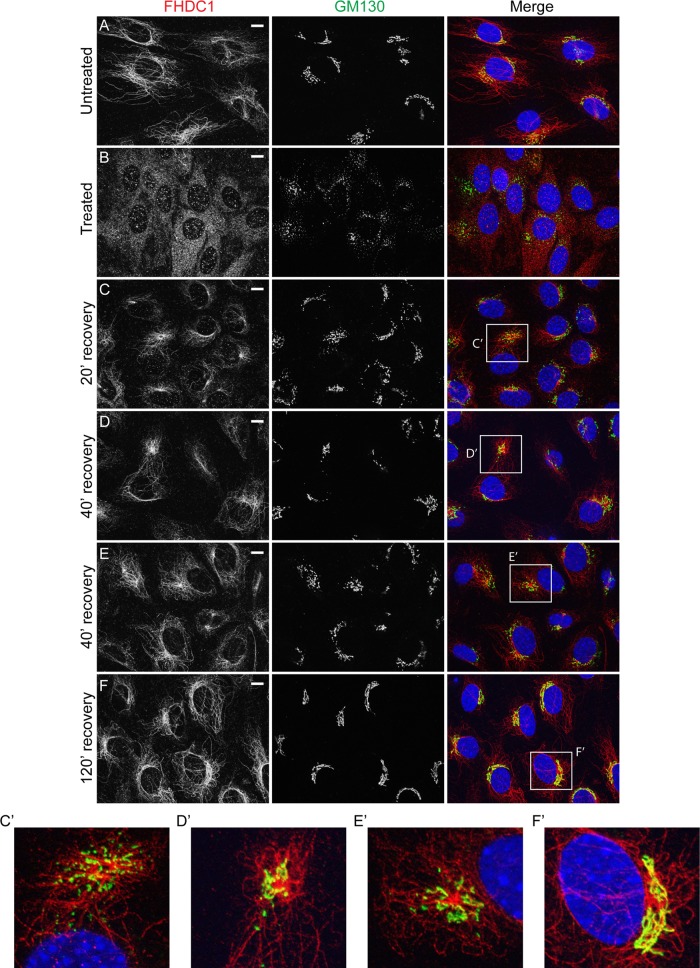 FIGURE 2: