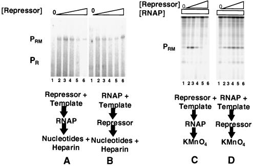 FIG. 7