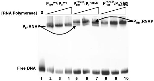 FIG. 6