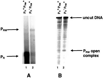 FIG. 5