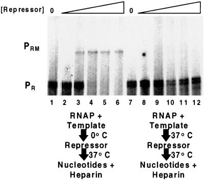 FIG. 8