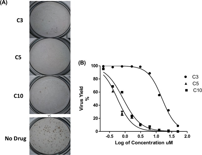 FIG 3