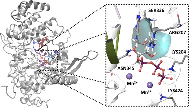 FIG 6